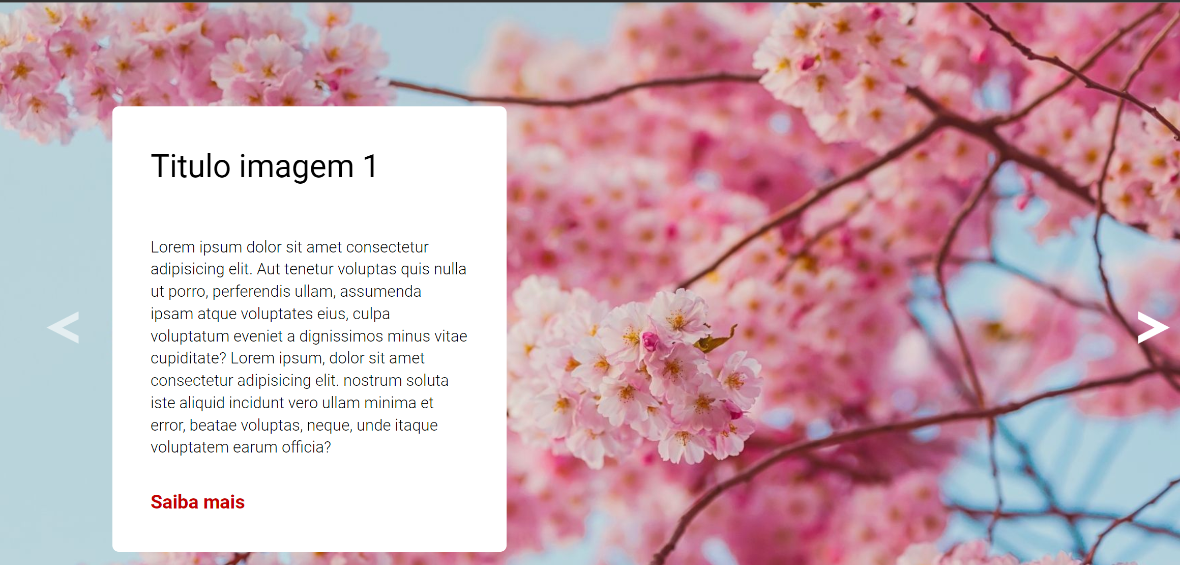 Carrossel de imagens